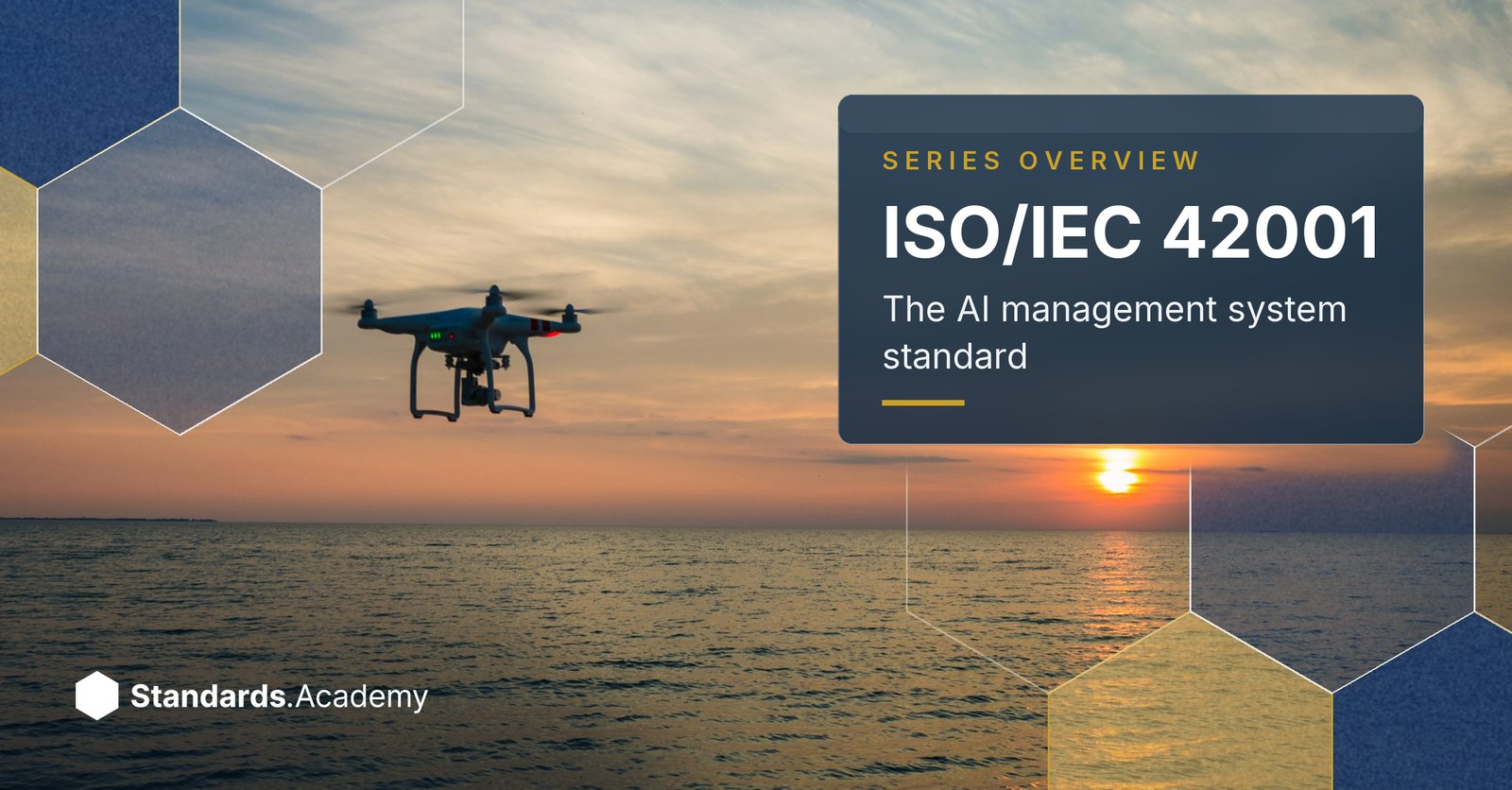ISO/IEC 42001 and the AI management system standards